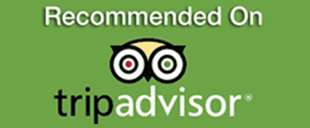 trip advisor